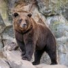 berlinzoo15